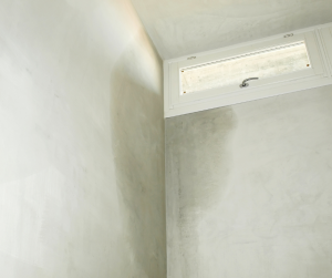 Traiter mur humide Poissy