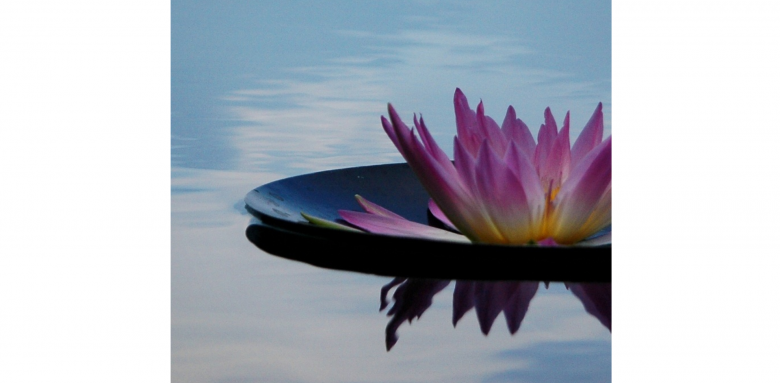 Améliorer l’isolation phonique d’une chambre dans la Manche