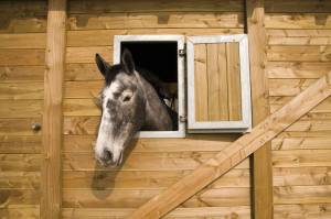 création de box à chevaux à URZY-GUERIGNY