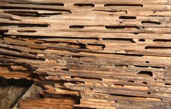 État de la charpente 