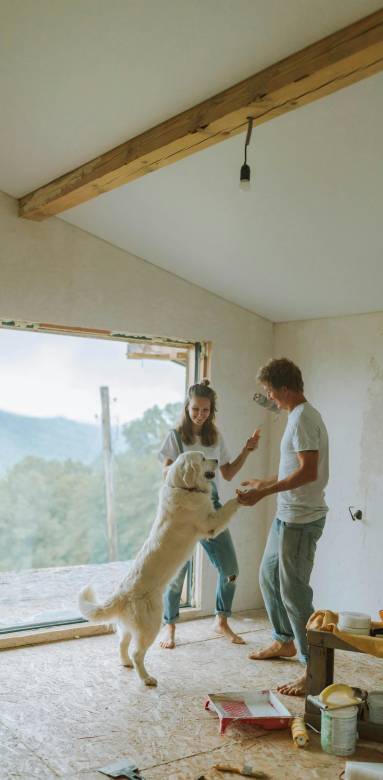 rénovation de maison 