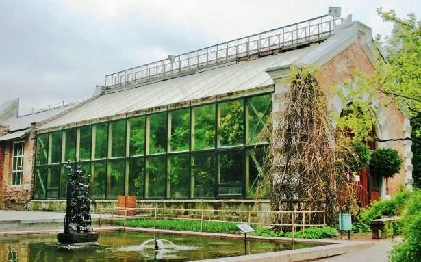 Rénover une serre de jardin : nos conseils