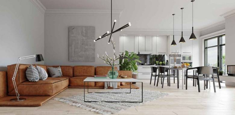 Différentes idées pour un salon salle à manger 