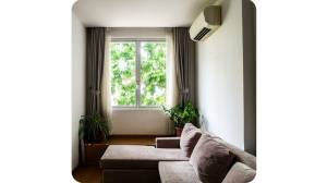 Bow Window – La Maison Des Travaux Manche 