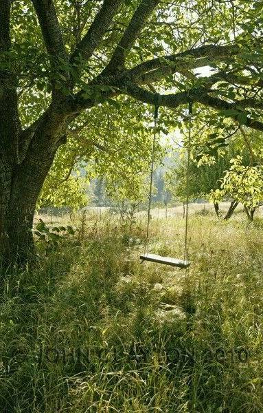 jardin vieillissant Dax