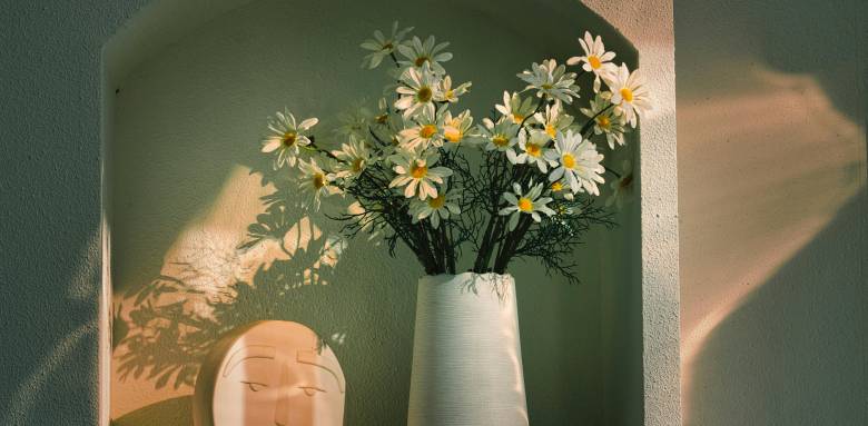 Niche Dax-sud-Landes