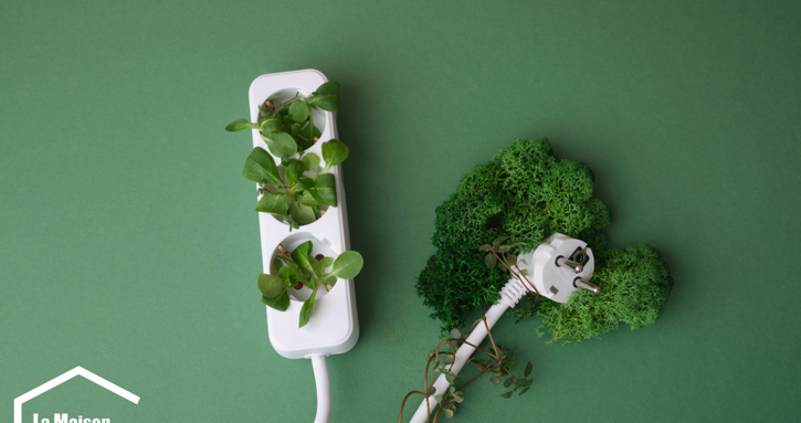 Une électricité verte