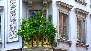 balcon jardin toulouse