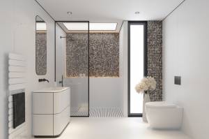 Salle de douche avec WC