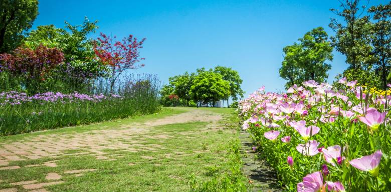  Aménagement d'un jardin en pente avec allée de jardin et massif de fleurs - Nantes 44