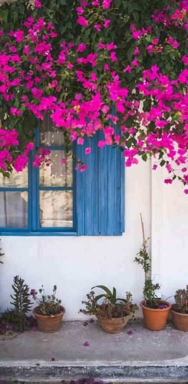 Aménagement paysager : créer le jardin de vos rêves à Forges les bains