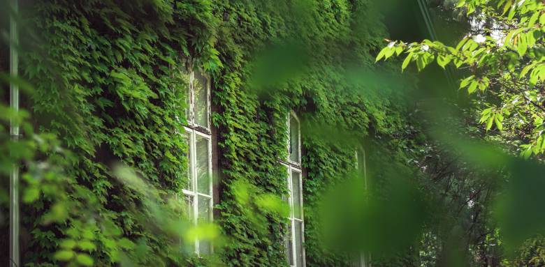 mur végétal toulouse