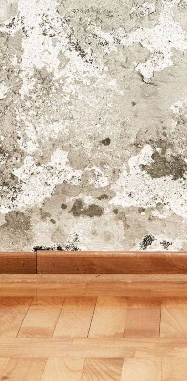 Remontées capillaire mur