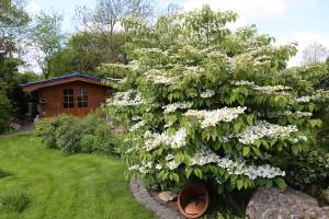 Cabane de jardin