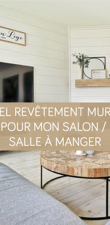 Quel revêtement mural pour mon salon/salle à manger ? La Maison des Travaux Vannes Sarzeau Pénestin