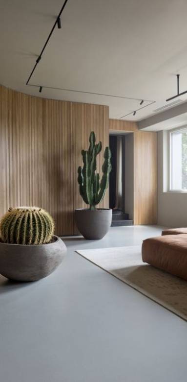 Cloison bois aux formes arrondis