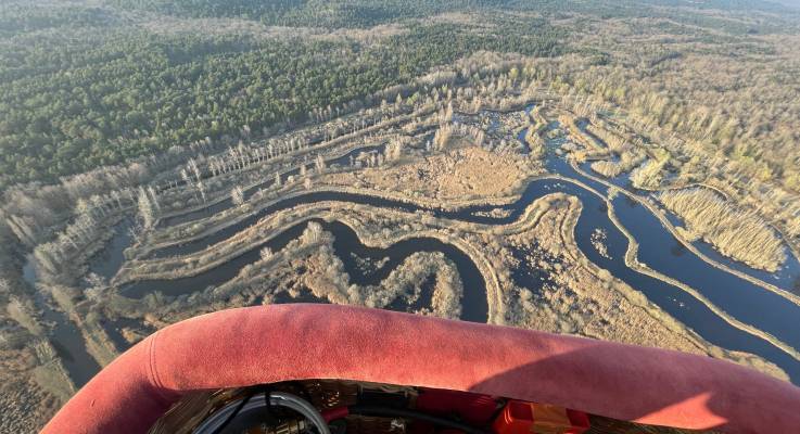 La forêt de Fontainebleau comme vous ne l'avez jamais vue