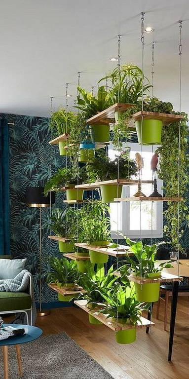 Cloisonner avec une étagère et des plantes - Paris