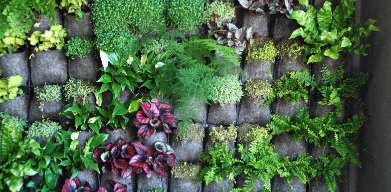Mur végétal