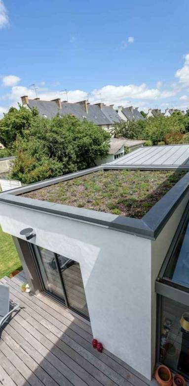 Toit plat végétalisé