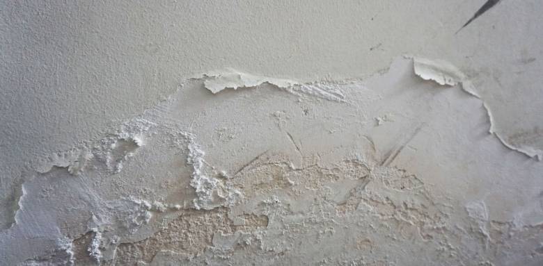 Rénovation de mur humide maison
