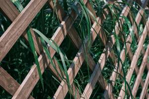 Palissade en bois