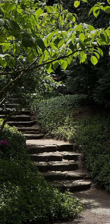 Ces jolis escaliers donnent du charme au jardin et permettent d'accéder au niveau supérieur