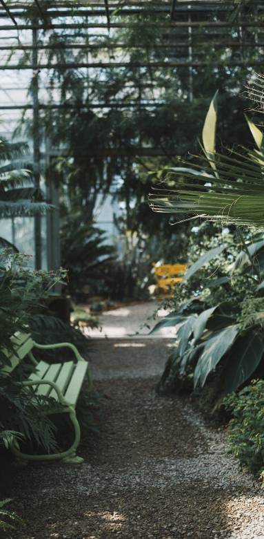 Serre de jardin