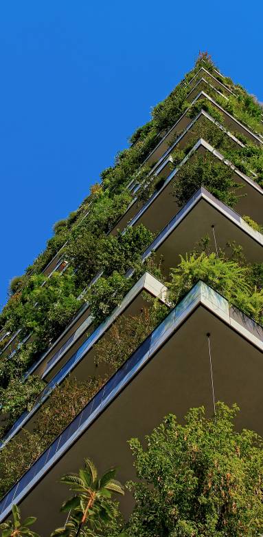 Transformer un balcon en petit jardin à Metz