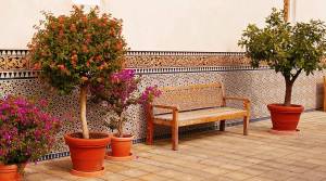 Terracotta