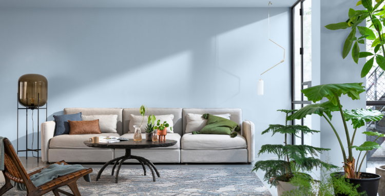 Pan de mur en bleu clair dans le salon - Arras 62