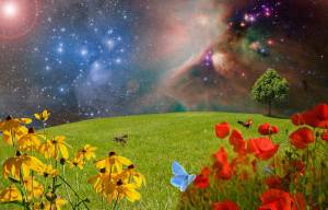 Tendance Spring Utopie 