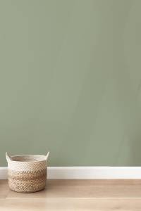 Décoration intérieure en vert sauge - Cholet 49