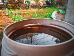 Récupérer l'eau de pluie pour l'arrosage
