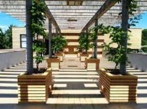 Pergola