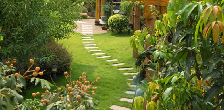 Oasis jardin