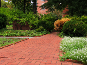 Quel matériau choisir pour votre allée de jardin ? 
