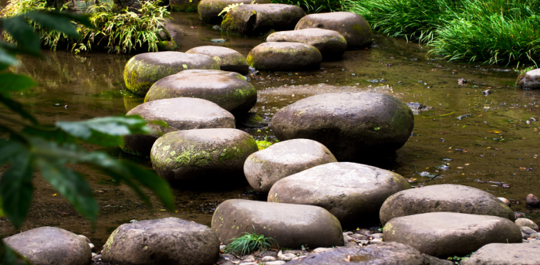 Jardin japonais
