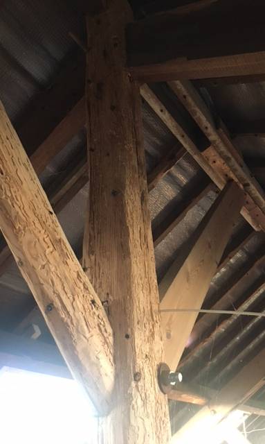 Charpente infectée et traitée - Nantes 44