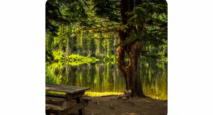 Le mobilier biosourcé pour ses bureaux professionnels 