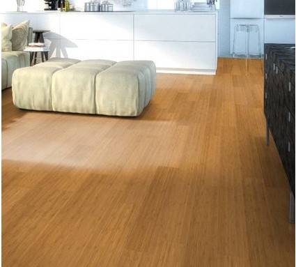 Parquet bambou dans le séjour