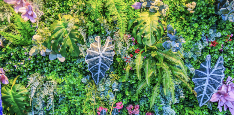 creer-mur-vegetal-exterieur-albi