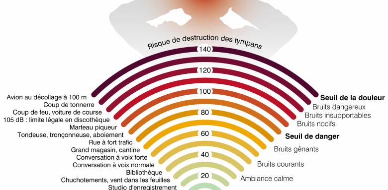 Améliorer l'isolation phonique de son logement en Indre-et-Loire.