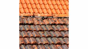 Rénovation partielle d'une toiture : préserver l’étanchéité et la durabilité - Marchésieux 50190