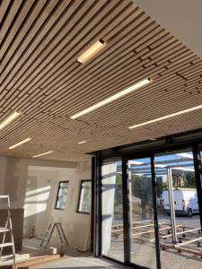 plafond phonique en bois - confort acoustique