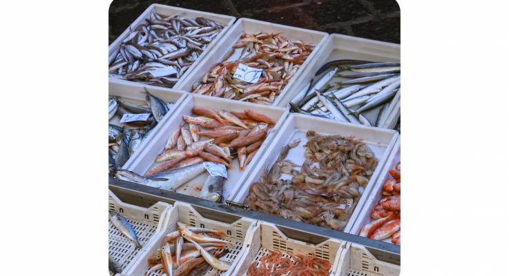 Aménager une poissonnerie sur le secteur Granvillais 