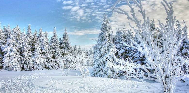 Les plinthes chauffantes : une solution efficace et discrète pour chauffer sa maison - Tour-en-Bessin 14400