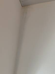 Trace d'humidité sur un mur intérieur - Nantes 44