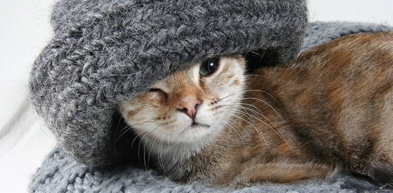 Une maison bien isolée, quel confort dans le Nord de la France !