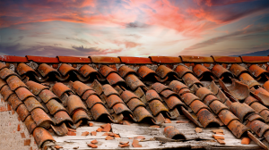 garantie decennale Antibes